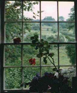 cottage window from inside